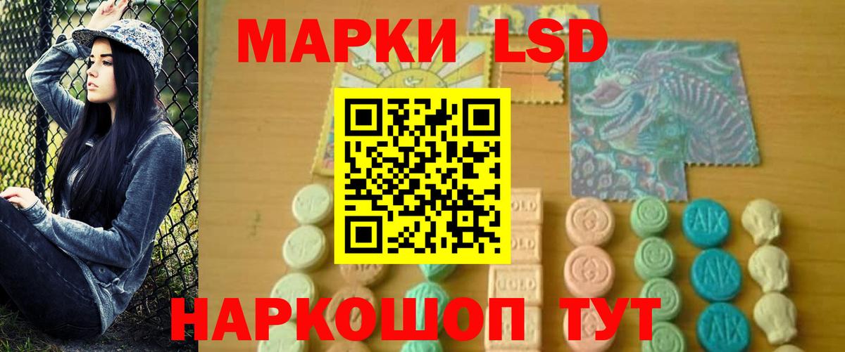 Зима  Лсд 25 экстази ecstasy  Вход с VPN 