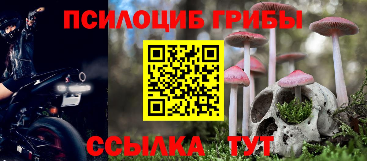 Галлюциногенные грибы Magic Shrooms Зима