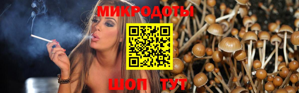 наркота  Псилоцибиновые грибы Cubensis  Вход с VPN  Галлюциногенные грибы Psilocybe  Зима 